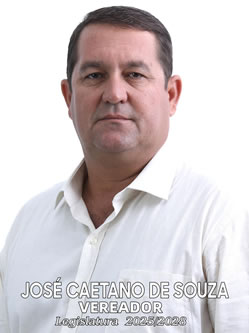 Vereador