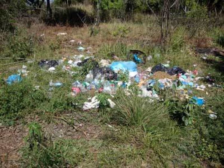 Vereadores pedem limpeza em rua e cobram conscientiza&ccedil;&atilde;o