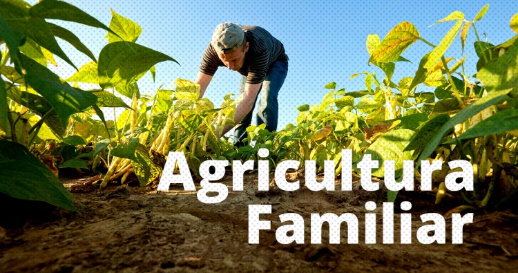 C&acirc;mara de Uni&atilde;o do Sul devolve R$ 72 mil para o Executivo. Valor pode ser utilizado na Agricultura Familiar