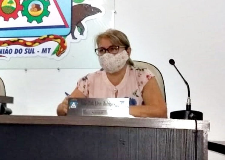 Vereadora pede instala&ccedil;&atilde;o de lombadas na Rodovia MT 423